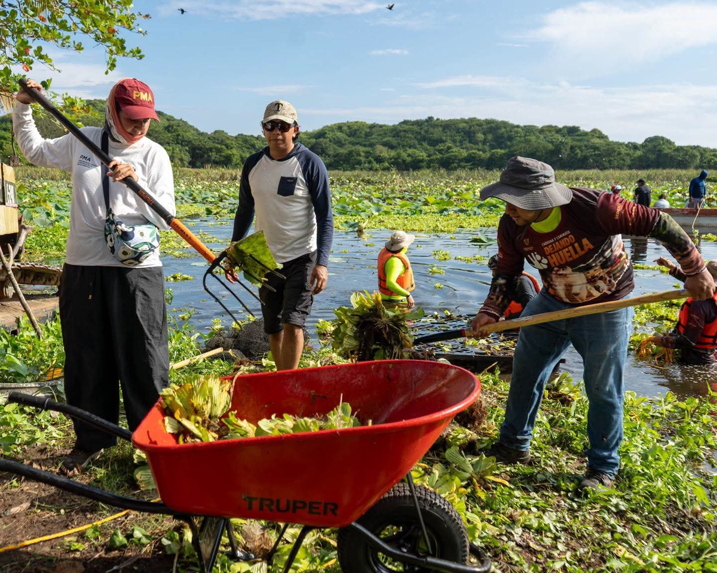 Inicia SEDEMA jornadas de limpieza en la Laguna de San Julián