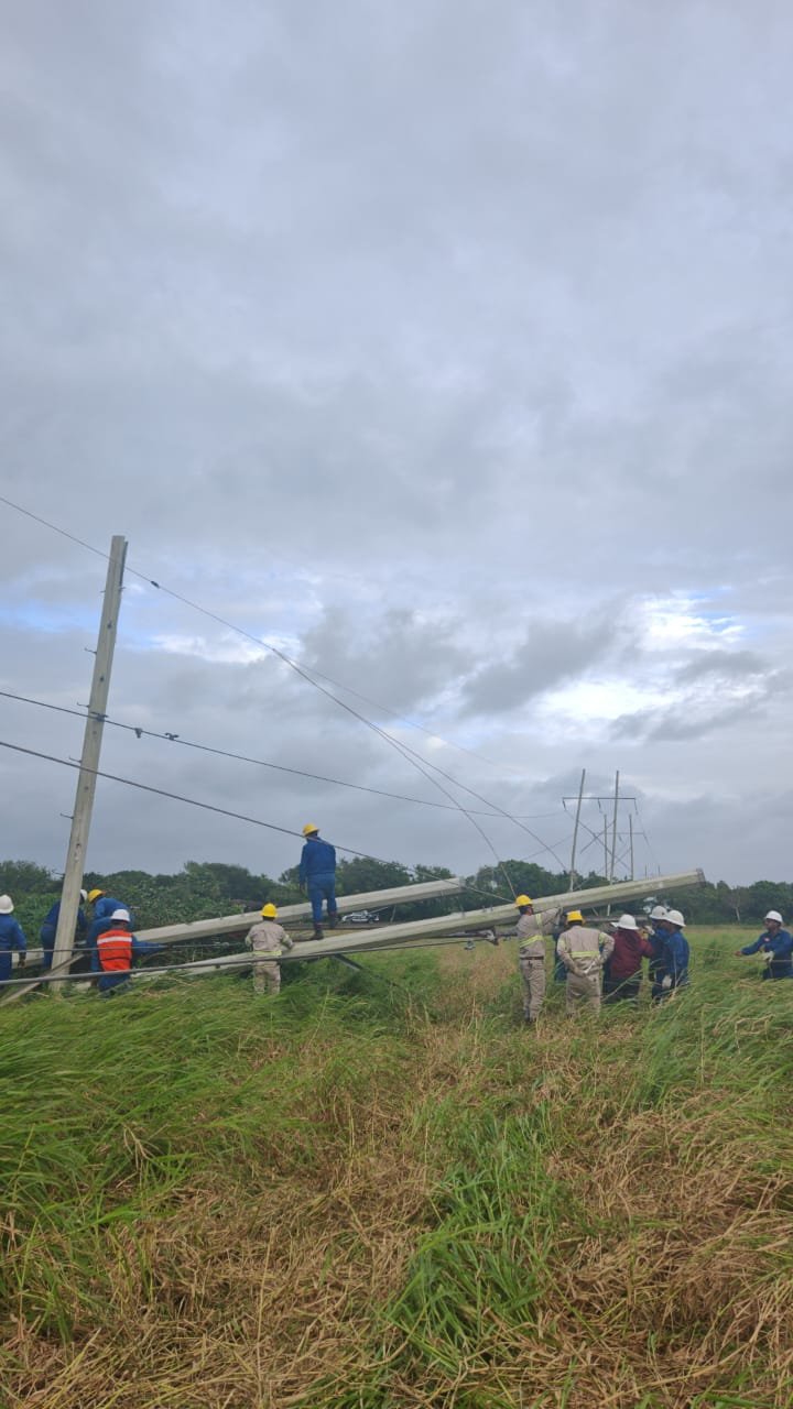 Tras fuertes vientos: CFE reporta 83% de avance para restablecer servicio de energía en Veracruz