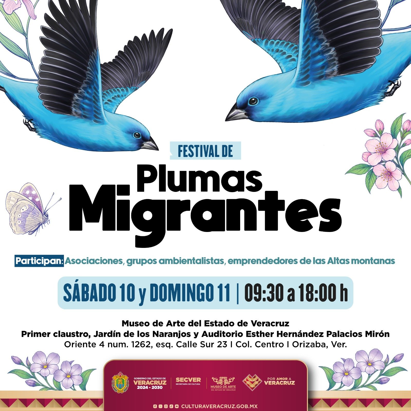 Celebra SECVER el Día Mundial de las Aves Migratorias en el MAEV