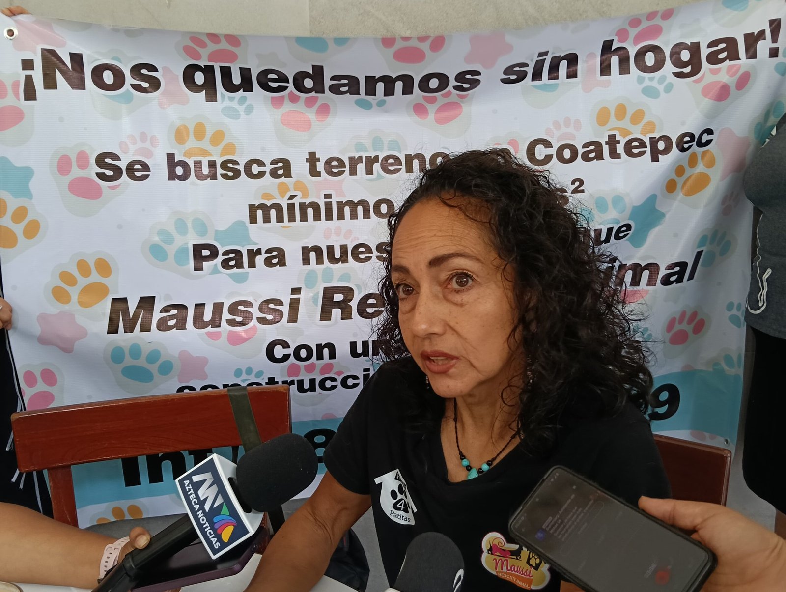 Albergue con 150 perros y gatos en Coatepec podría quedarse sin hogar en diciembre; piden ayuda