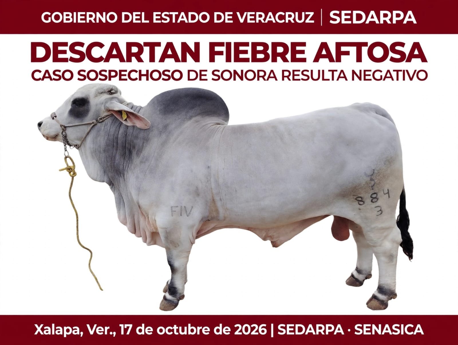 COMUNICADO URGENTE A TODOS LOS GANADEROS DE VERACRUZ